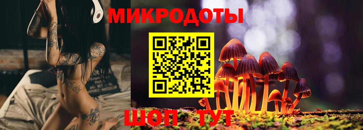Псилоцибиновые грибы Cubensis  Вход с VPN  Псилоцибиновые грибы мухоморы  Сафоново 
